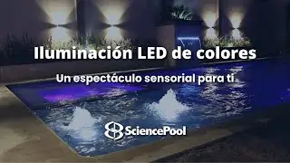 Iluminaci&oacute;n LED de colores: un espect&aacute;culo de color y diversi&oacute;n.