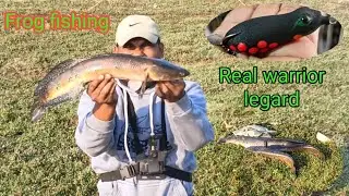 Frog Lure fishing video ll fishing rod Tut Gaya 😭😭 ll sneakehead fishing ll local Fisher assam 