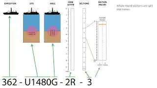 IODP Tutorial: Parts of a Sample ID
