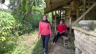 TERPESONA MELIHAT KECANTIKAN JANDA DESA & GADIS DESA KAKAK BERADIK YANG HIDUP SEDERHANA DI PEDESAAN