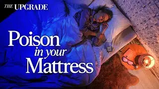 What Scientists Found in Your Bed