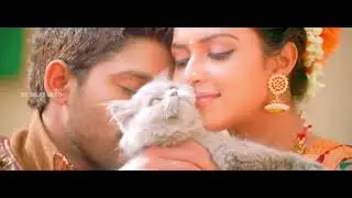 Amala Paul Hot And Cute ( Hot neck kissing  And Kissing On The Cheek Enjoyining By Her So Hard)