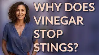 Why does vinegar stop stings?
