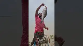 Throwing 5KG Like a Pro &ndash; Giant Fish Hooked #fishbait #fishing #villagelife