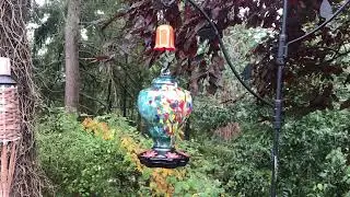 HAND BLOWN GLASS HUMMINGBIRD FEEDER - HONEST REVIEW!