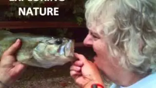 Stepping Stones: Autism Respite Camp
