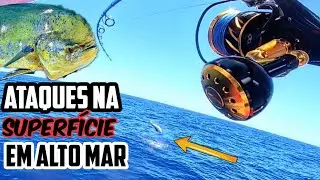 O ESPET&Aacute;CULO DO DOURADO DO MAR - PESCARIA NA SUPERF&Iacute;CIE