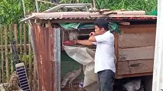 Brother Dennis Flores Vasay Chicken 🐔🍗 Farm Located at Taguican, Can-ayan, Malaybalay City