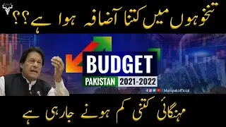 Budget 2021 | Full Detailed Video | Mera Pakistan