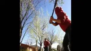 BASEBALL BAT DESTRUCTION PART 7: EGGS