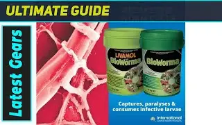 BioWorma: удивительное средство от глистов на пастбищах, которое действительно работает!