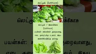 Lettuce Benefits &ndash; Various Nutrients Your Body Needs