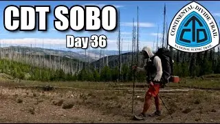CDT 2025 SOBO Day 36 Thru-Hike | Continental Divide Trail | Darby, MT | Lost Trail Trailhead