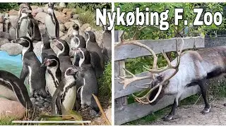 Guldborgsund Zoo