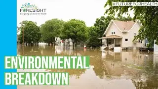 GAME CHANGER 1: Environmental Breakdown