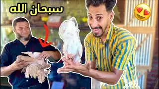 رد فعل كلابي لما اشتريت حمام زينه 😍