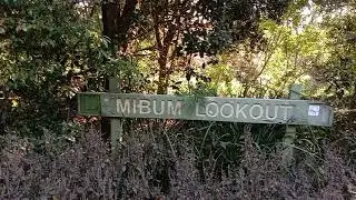 * BREATH TAKING LOL * Yowie Search Springbrook || MIBUM LOOKOUT