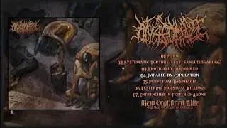 ANATOMIZE - SYSTEMATIC TORTURE [FULL EP STREAM] (2025) AS EXCLUSIVE