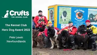 Pete Lewin Newfoundlands - The Kennel Club Hero Dog Award 2022