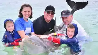Anthony's Key Resort Dolphin Encounter