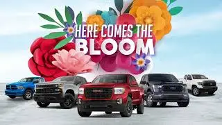 Pre-Owned Pick Ups at Dodge City Auto