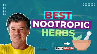 Best Nootropic Herbs