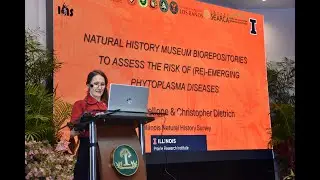 IACPH 2024 - Oral Paper - Valeria Trivellone
