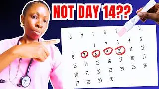 The Best Days to Get Pregnant in Your Menstrual Cycle  &mdash; Doctor Explains Fertile Window
