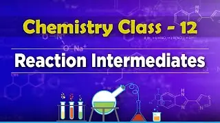 Reaction Intermediates - Chemical Kinetics - Chemistry Class 12