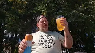 CREAMSICLE SOUR - Lost Craft Brewery #beerlife #craftbeerreview #craftbeer #beerreview #cheers 