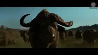 How a young man got super strength and hunted not animals but humans #movieclips #bestmoments 