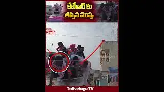 కేటీఆర్ కు తప్పిన ముప్పు  | Minister KTR Fall Down From Campaign Vehicle | Tolivelugu TV