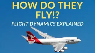 How Do Planes Really Fly? The Physics Behind Flight Explained!