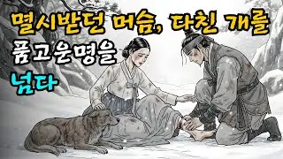 멸시받던 머슴, 다친 개를 품고 운명을 넘다  | 야담 | 민담 | 설화 | 고전 | 옛날이야기 |야사