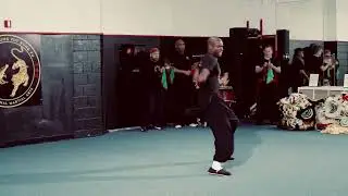 Tai Yim Hung Fut Kung Fu Chinese New Year Compilation 