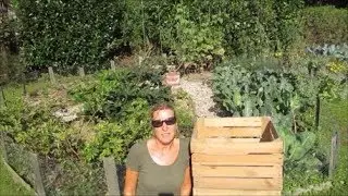 Kartoffelernte - Rote Emma - Sarpo Mira -