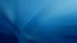 Free 4K Motion Background - Blue Starling