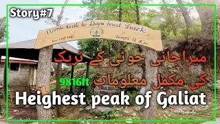 Miranjani Peak hiking |Heighest peak of Galiat |Beautiful hiking track in nathiagali.