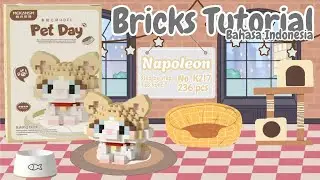 Build a Bricks Pet Day! Cute Kitten 🐱Napoleon🐱 K217 l Tutorial Building Bricks Mini
