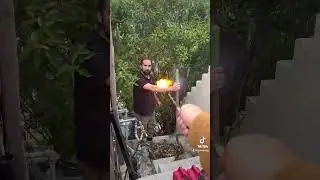 Love this #magic wand #haha #comedy #funnyprank #funnyvideo #prank #funnypranks #funny #harrypotter