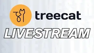Treecat Chat - Q&A Live Stream 11/1/2025
