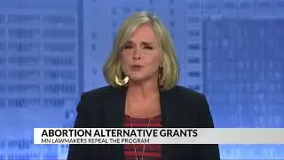 Abortion Alternative Grants in Minnesota