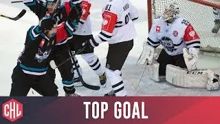 Andrew Kozek - Black Wings Linz | Top Goal 2015/16