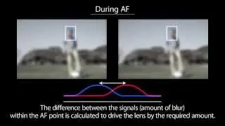 Canon Dual Pixel CMOS AF Technical Movie