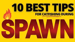 10 BEST TIPS FOR SPAWN CATFISHING!