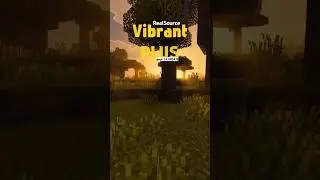 Get MAXIMUM from Vibrant Visuals with Vibrant PLUS pack 1.4  UPDATE -  DOWNLOAD NOW