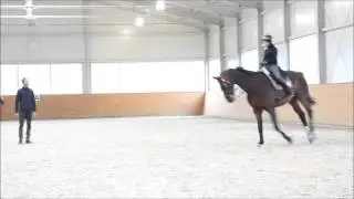 Einzinger September 2015 Reitclub Maislinger