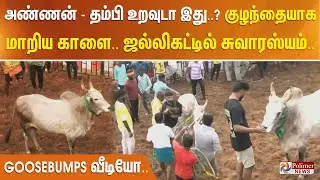 அண்ணன் - தம்பி உறவுடா இது..? குழந்தையாக மாறிய காளை.. ஜல்லிகட்டில் சுவாரஸ்யம்.. Goosebumps வீடியோ..