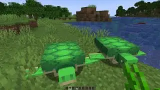 How to Get Scutes in Minecraft - How to Get Turtle Scute