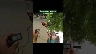please plant at least one tree 🥺🎄🎄 #greenpakistan #support #like #comment #subscribe #share #foryou